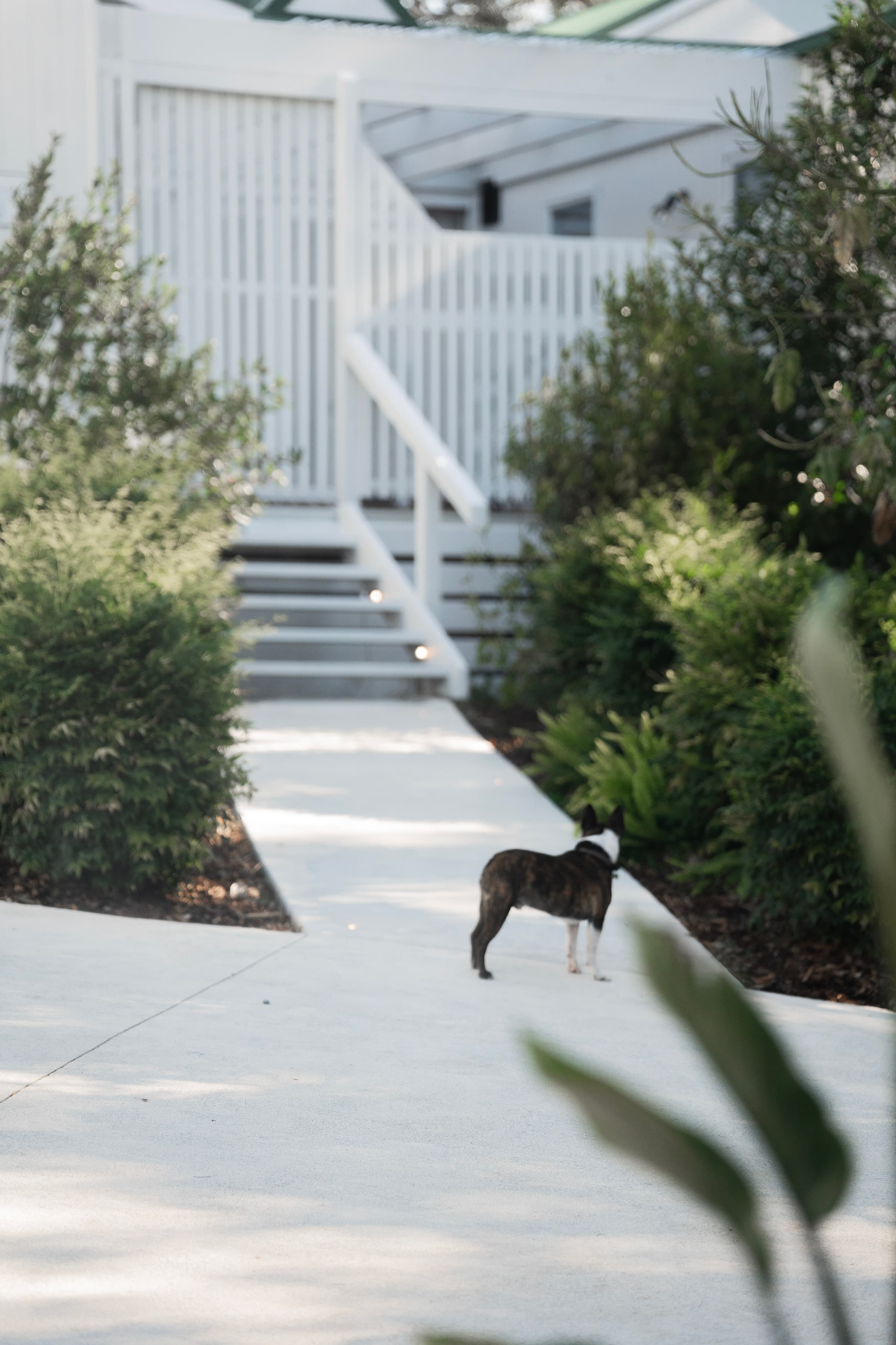 White House Metung Lifestyle 4